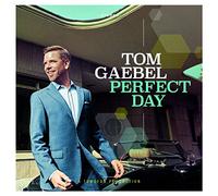Gaebel,Tom - Perfect Day