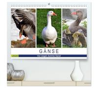 Gänse. Von wegen dumme Gans! (hochwertiger Premium Wandkalender 2026 DIN A2 quer), Kunstdruck in Hochglanz: Kluges und hübsches Federvieh!