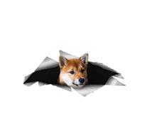 GAETOYEN Pegatinas Coche Graciosas Exterior 13Cmx6Cm Shiba Inu Dog Pet Decal Laptop Decal 3D Pet Graphic Vinyl Decal Car Window Laptop Bumper Car Stickers, Css1A12944