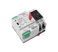 GAEYAELE Controlador de interruptor de transferencia automática Tipo eléctrico máximo 100A 2Pole 110V Din Rail Montado (2P 100A AC110V)