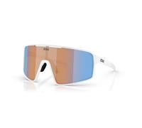 Gafas de ciclismo Bliz P001 L