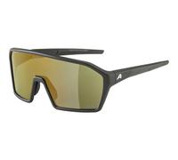 Gafas de sol Alpina Ram Q-Lite TU Unisex