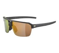 Gafas de sol Alpina SWIFT HR TU Unisex