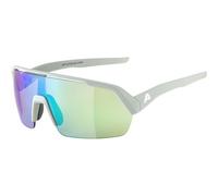 Gafas de sol Alpina Turbo HR TU Unisex