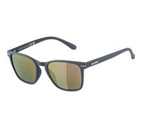 Gafas de sol Alpina Yefe P TU Unisex