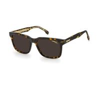 Gafas de Sol CARRERA CARRERA 251/S 086 HAVANA 53/18/145 UNISEX