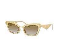GAFAS DE SOL - DOLCE & GABBANA / 0DG2311 Calibre: 51 Color: 12246E