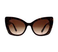 Gafas De Sol Dolce & Gabbana DG4405 502/13 Havana Marrón Degradado