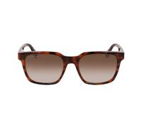 Lacoste Gafas de Sol L6028S 214 HAVANA 54/19/145 Hombre