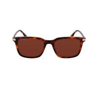 Gafas de Sol LACOSTE L6035S 214 HAVANA 53/18/145 Hombre