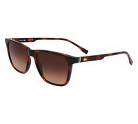 Gafas de Sol LACOSTE L6041S 214 HAVANA 54/18/145 Hombre
