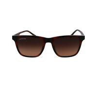 Gafas de sol lacoste l6041s 214 havana 54/18/145 hombre
