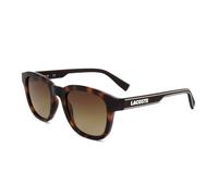 Gafas de Sol Lacoste L966S Havana 50/20/145 para Hombre