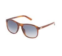 Gafas de Sol Lozza SL1845L Avana chiara lucida 55/19/140 unisex
