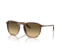 Gafas De Sol Ray-Ban Rb 2203 13920a Marron | Verde