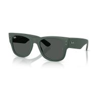 Ray-Ban RB4840S 665787 50