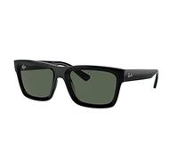 Gafas de Sol Ray-Ban WARREN RB 4396 Black/Dark Green 57/20/145 unisex
