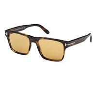Tom Ford FT1205 CALDER C55 56E - Habana colorido / Habana colorido