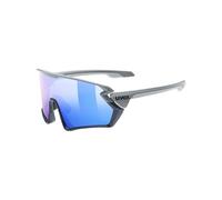 Gafas de sol Uvex Sportstyle 231 (5416)