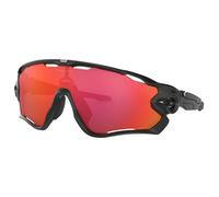 Gafas Jawbreaker Prizm matt