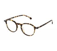 Gafas Lozza VL4324 Avana gialla lucida 48/19/145 unisex