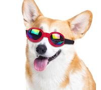 Gafas para perros - Protector de lente transparente, máscara de correa ajustable, tintada | Componente para la salud de , unidad de sombreado segura para días soleados de verano, motocicleta