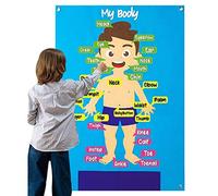Gaimety Fieltro para niños,Rompecabezas Estructura Piezas Cuerpo Bricolaje 30 Piezas | Juguetes educativos Aprendizaje temprano para niños para Aprender anatomía Humana