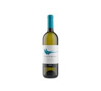 Gaja Alteni di Brassica 2022