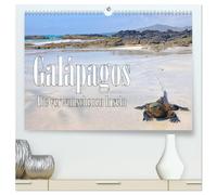 Galápagos - Die verwunschenen Inseln (hochwertiger Premium Wandkalender 2026 DIN A2 quer), Kunstdruck in Hochglanz: FineArt-Motive von Tieren und Landschaft der Galapagos-Inseln