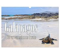 Galápagos - Die verwunschenen Inseln (Wandkalender 2026 DIN A3 quer), CALVENDO Monatskalender: FineArt-Motive von Tieren und Landschaft der Galapagos-Inseln