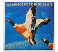 Galapagos Duck - In Flight [LP]