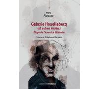 Galaxie Houellebecq (et autres étoiles): Eloge de l'exercice littéraire