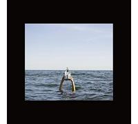 Galaxy Fingers - The Last Bastion Of Fox Quality [Vinilo]