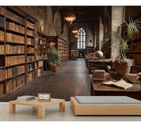 Galería de Libros Antiguos & Murales de Arquitectura Gótica, Murales Decorativos Literarios Tradicionales, Perfectos para Pared de Acceso en Sala de Estudio y Biblioteca 350x250cm