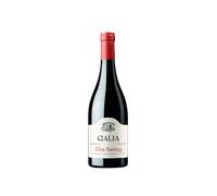 Galia Clos Santuy 2023