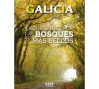 Galicia: Excursiones Por Los Bosques Mas Bellos