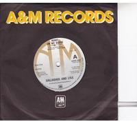 Gallagher And Lyle - HEART ON MY SLEEVE 7 INCH (7" VINYL 45) UK A&M 1976