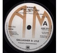 Gallagher And Lyle - I Wanna Stay With You - Solid