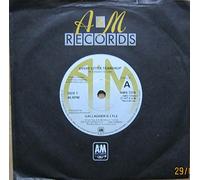 GALLAGHER & LYLE - GALLAGHER & LYLE-7"Single- Every Little Teardrop/Street Boys,EX+