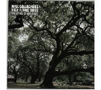 Gallagher'S,Noel High Flying Birds - Dying of The Light [Import] [Vinilo]