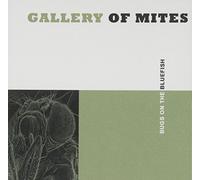 Gallery of Mites - Bugs on a Bluefish
