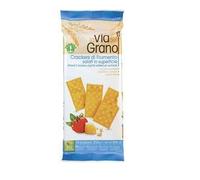 Galletas de trigo saladas en la superficie 250 g