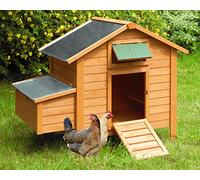 Gallinero para Exterior Island con ponedero - Gallinero de Madera tratada para Exteriores - Capacidad 6-8 gallinas - Amplia Puerta de Acceso - 115 x 130 x 80 cm