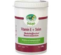 Galopp Vitamina E + Selenio - 1 kg Galopp