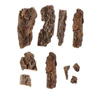 GALPADA 1 Juego Natural de Champán para Terrarios y Acuarios de Aleatorio para Reptiles como Serpientes y Accesorio Decorativo para Hábitats Naturales