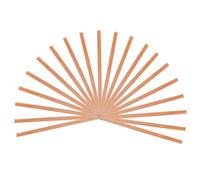 GALPADA 20 piezas Tiras de Cedro Duraderas para Encender Accesorios de Madera Natural para Humidificadores Tablones de Cedro Resistentes para Aromatizar y Proteger