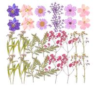 GALPADA 27 Piezas Flores Secas Prensadas Naturales para Manualidades DIY, Materiales Decorativos Mixtos para Resina, Álbumes, Decoración Hogar y Arte Floral (Estilo Primavera)