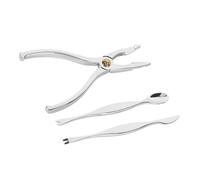 GALPADA 3 Piezas Utensilios para Pinzas y Cuchara para Pelar Cangrejo Herramientas Prácticas para Comer Mariscos Fiestas Picnic y Restaurante