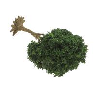 GALPADA Árboles Enanos de Paisaje para Maquetas Arquitectónicas y Proyectos DIY, Modelo Compacto para Decoración de Belenes y Paisajes en Miniatura, 10 CM, Color Verde