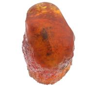 GALPADA Espécimen de Escorpión Fósil Pequeño de 8 Cm en Resina, Muestra de Insecto Coleccionable, Decoración del Hogar, Piedra Decorativa Científica para Obsequio y Colección Educativa